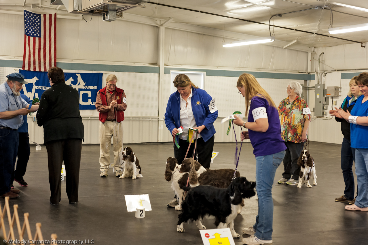 2014 WESSA Specialty Show | Obedience/Rally Trial