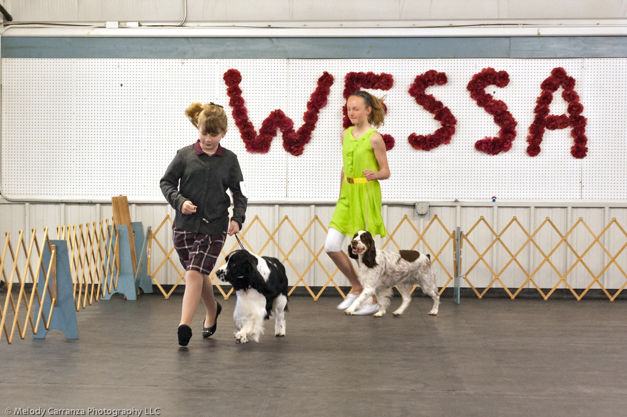2014 WESSA Specialty Show | Obedience/Rally Trial