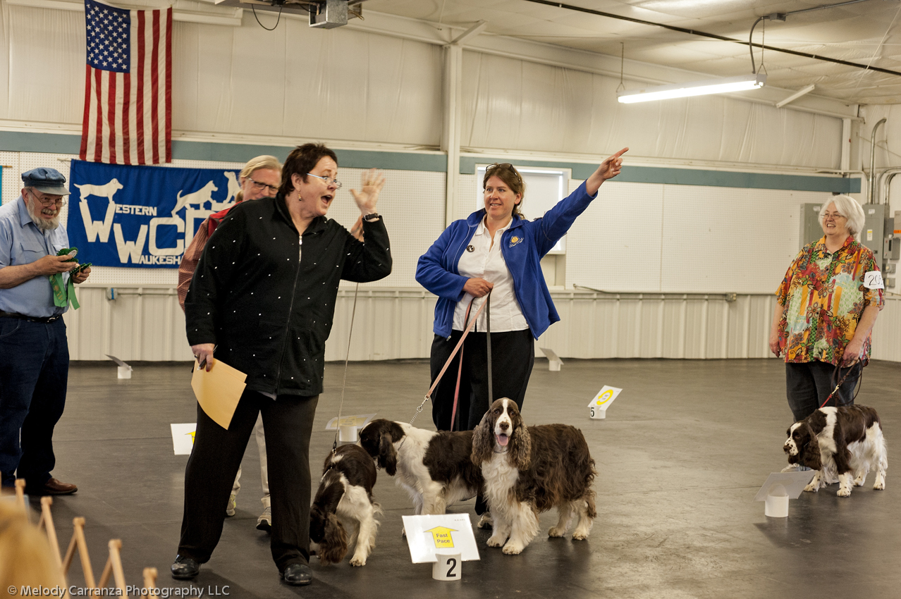 2014 WESSA Specialty Show | Obedience/Rally Trial