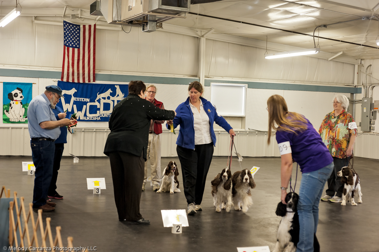 2014 WESSA Specialty Show | Obedience/Rally Trial