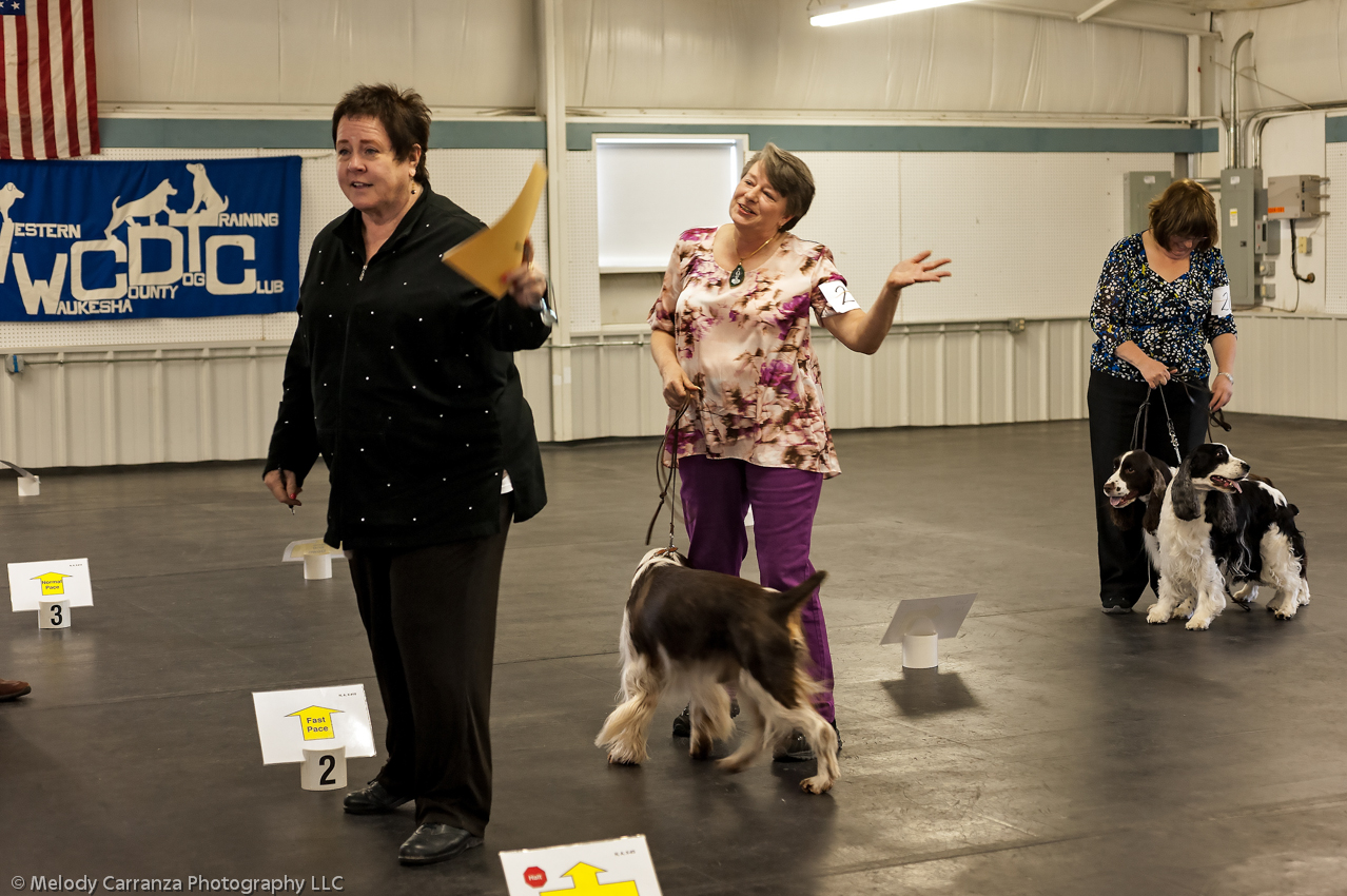 2014 WESSA Specialty Show | Obedience/Rally Trial