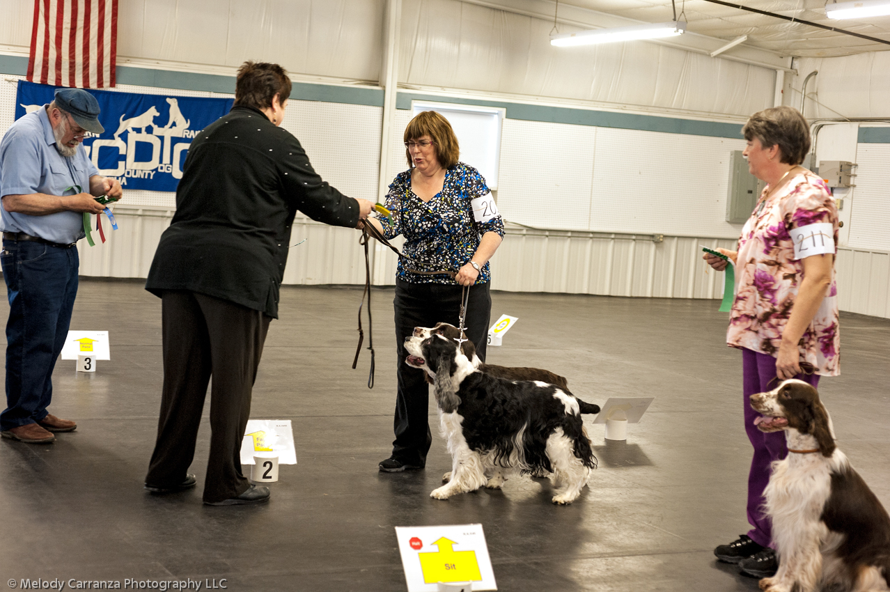 2014 WESSA Specialty Show | Obedience/Rally Trial