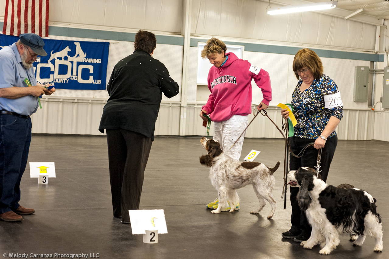 2014 WESSA Specialty Show | Obedience/Rally Trial