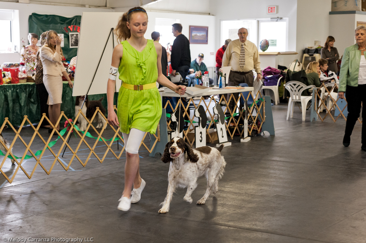 2014 WESSA Specialty Show | Obedience/Rally Trial