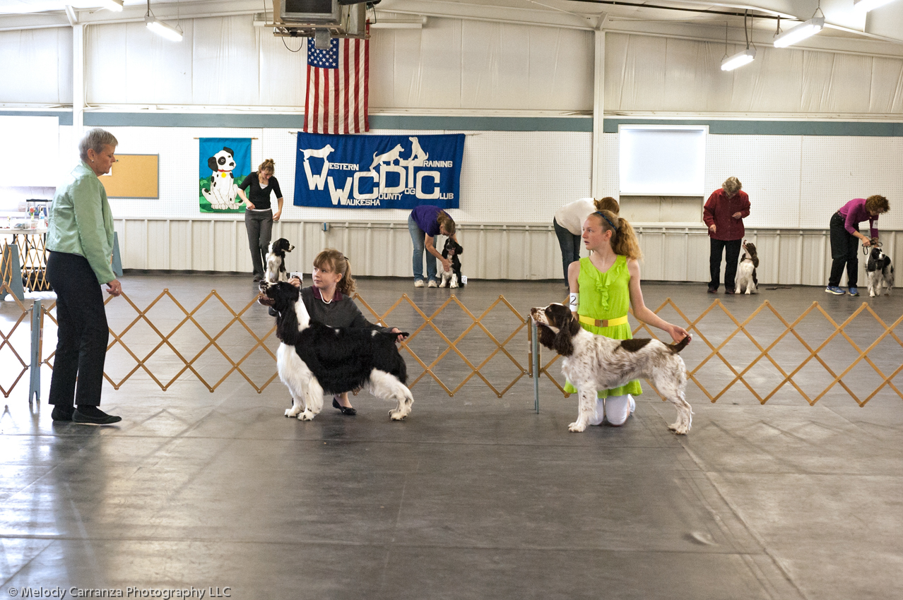 2014 WESSA Specialty Show | Obedience/Rally Trial