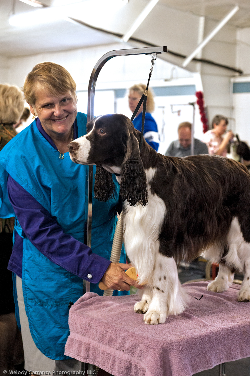 2014 WESSA Specialty Show | Obedience/Rally Trial