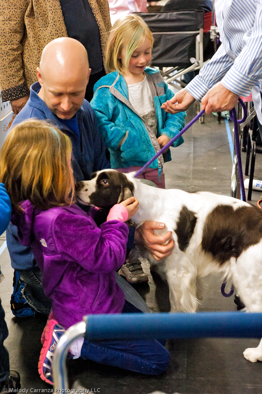 2014 WESSA Specialty Show | Obedience/Rally Trial