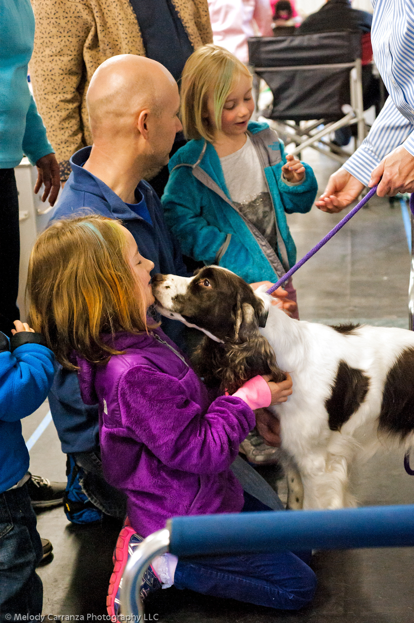 2014 WESSA Specialty Show | Obedience/Rally Trial