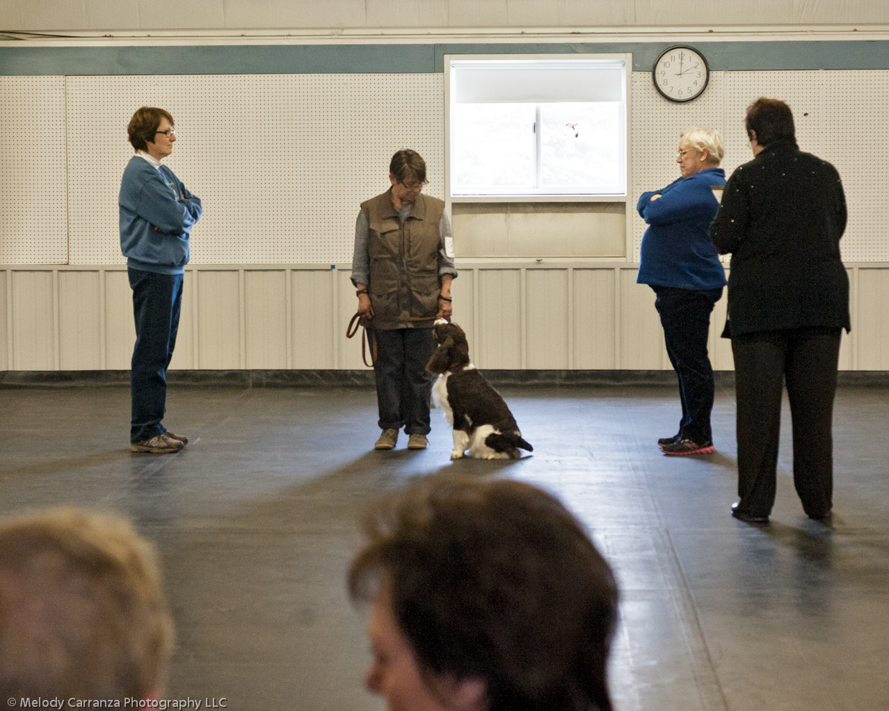 2014 WESSA Specialty Show | Obedience/Rally Trial