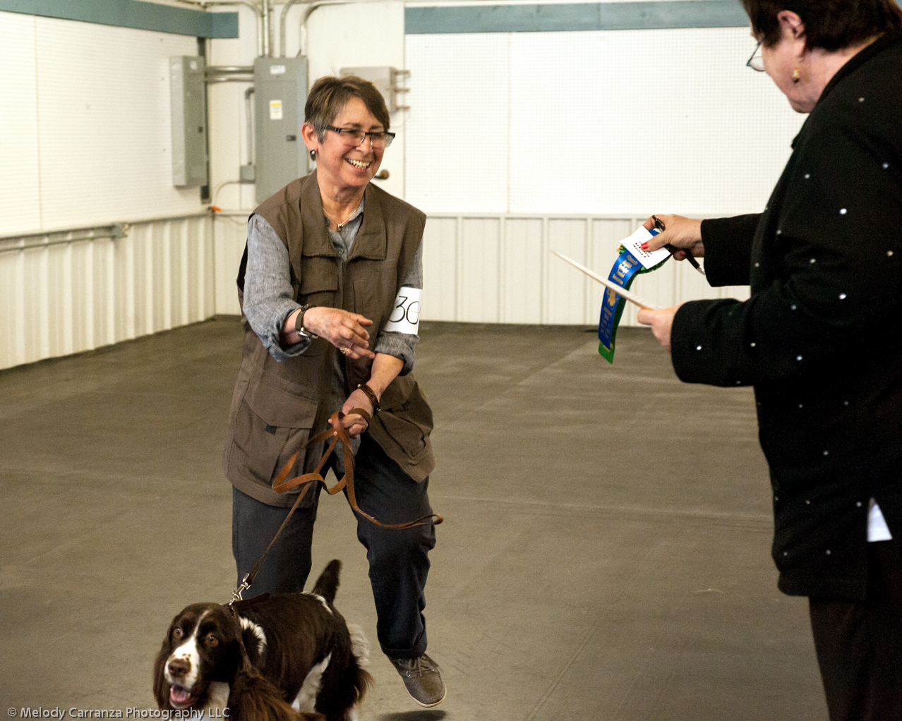 2014 WESSA Specialty Show | Obedience/Rally Trial