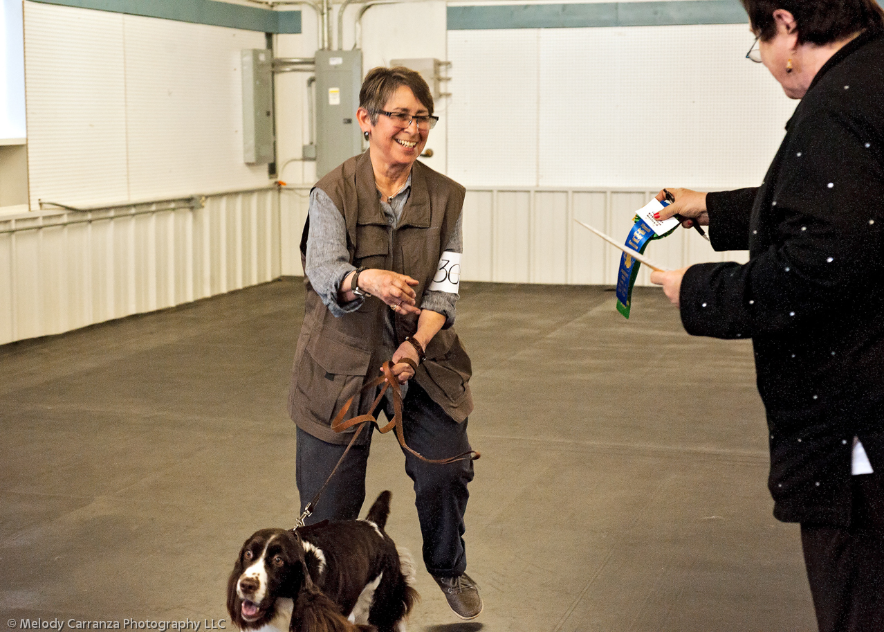 2014 WESSA Specialty Show | Obedience/Rally Trial