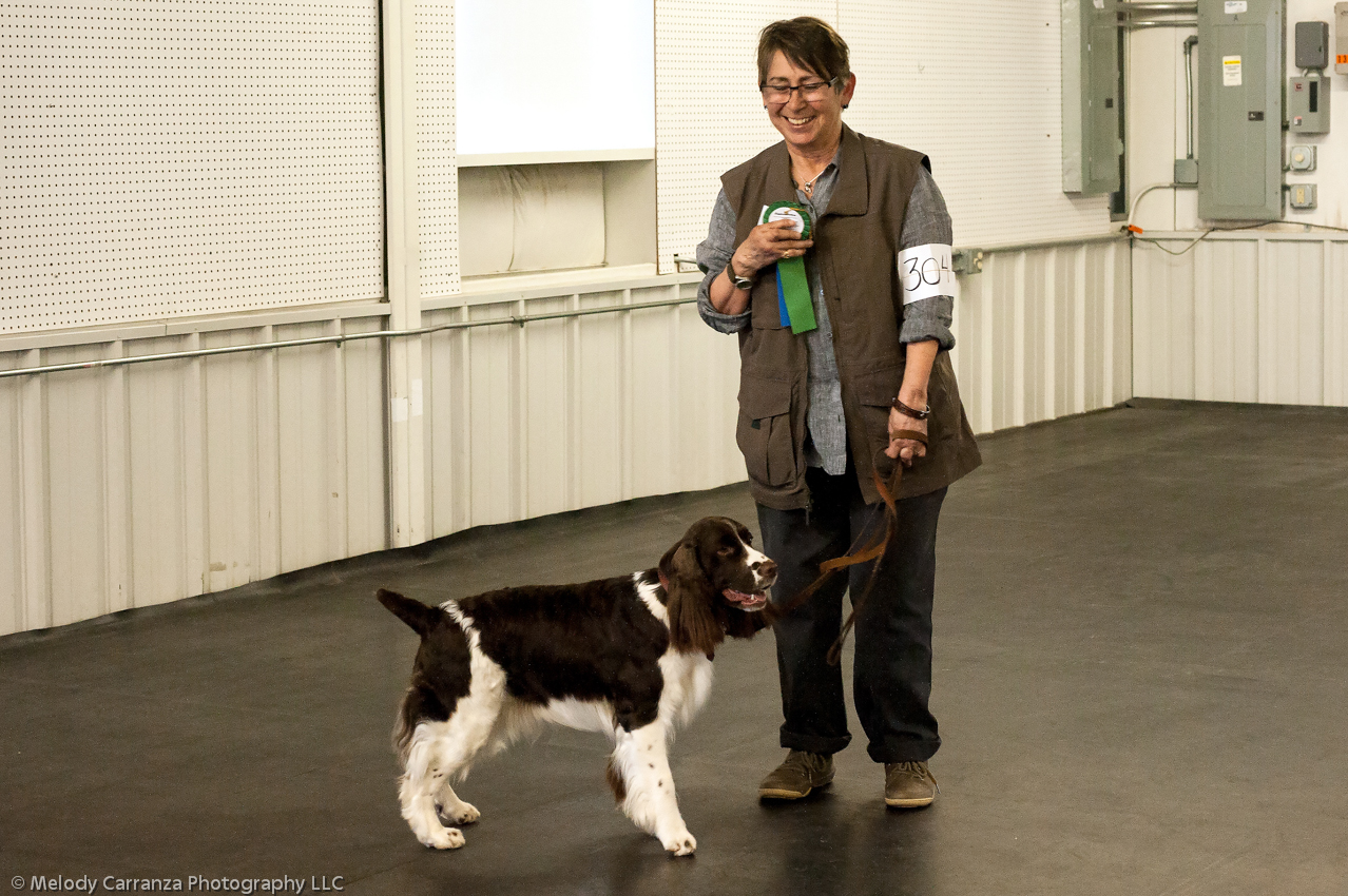 2014 WESSA Specialty Show | Obedience/Rally Trial