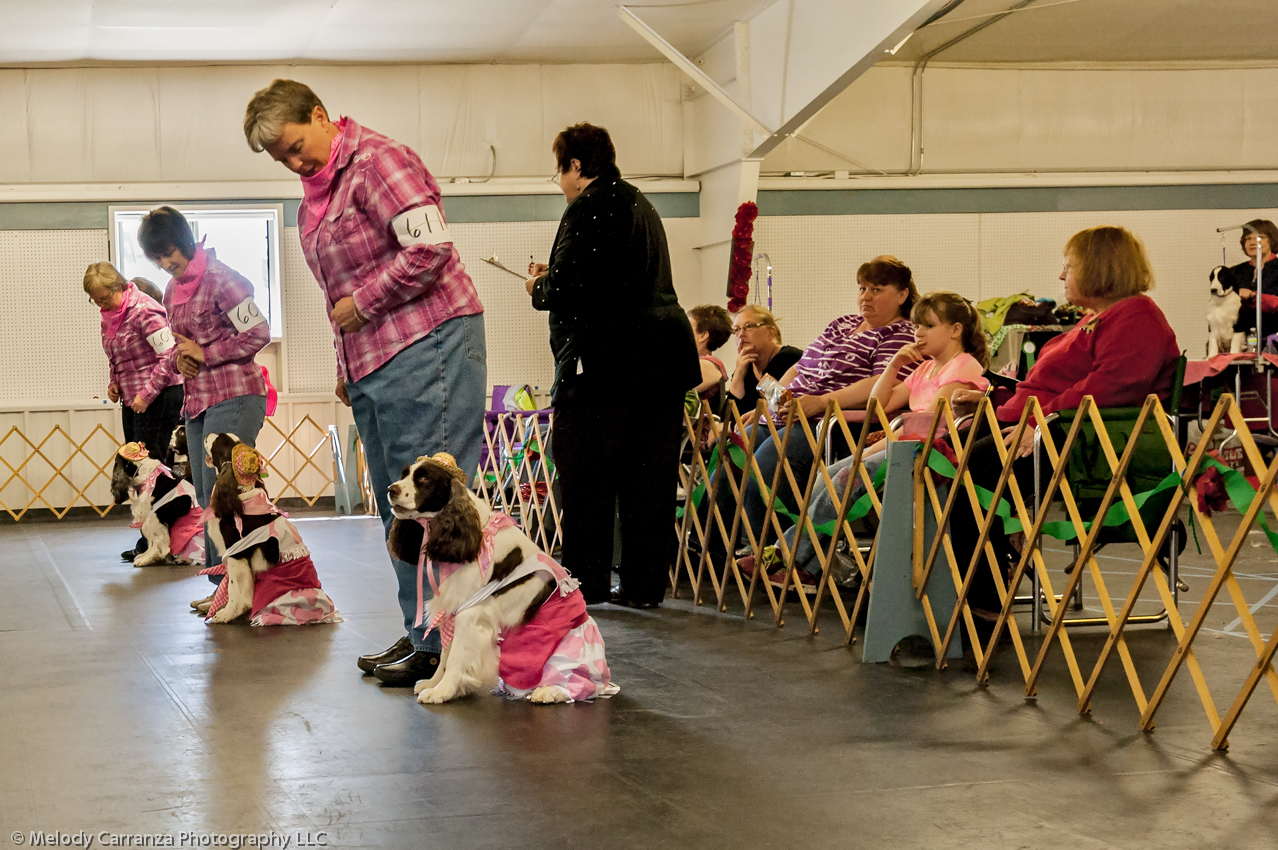 2014 WESSA Specialty Show | Obedience/Rally Trial