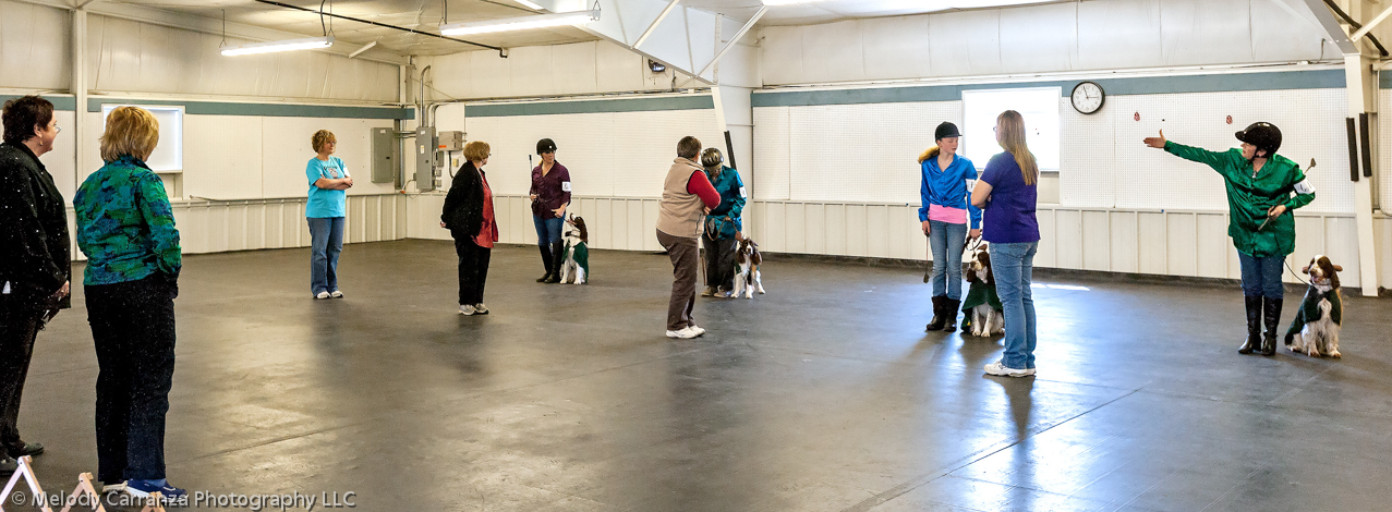 2014 WESSA Specialty Show | Obedience/Rally Trial